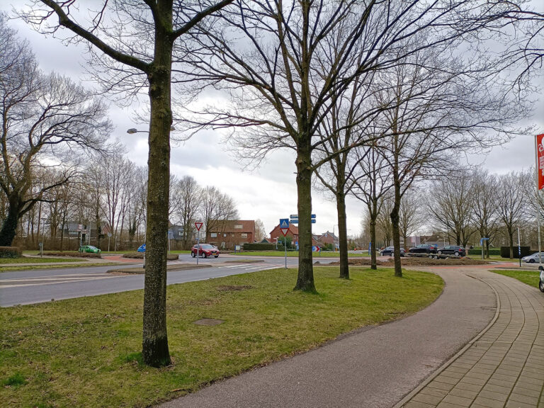 IMG20240124142527_1900px