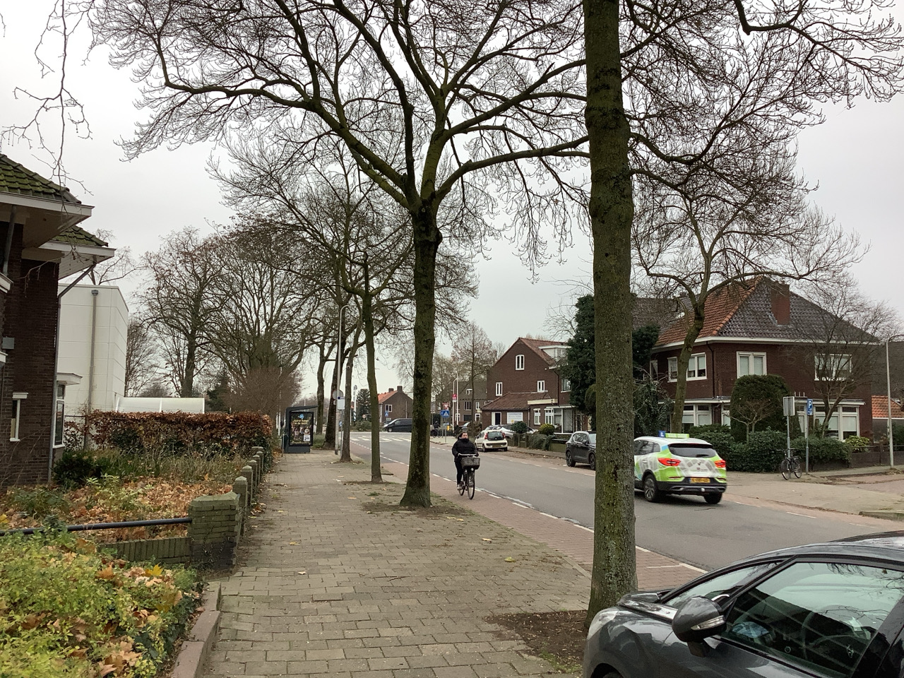Foto van de Hoge Hondstraat in Deventer