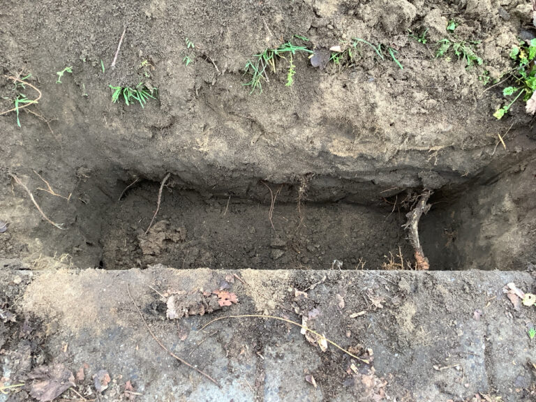 Geul gegraven om de wortels van de bomen te analyseren