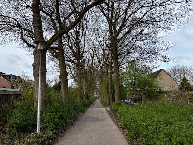 Situatie Weg door den Waterpot Colmschate 2026